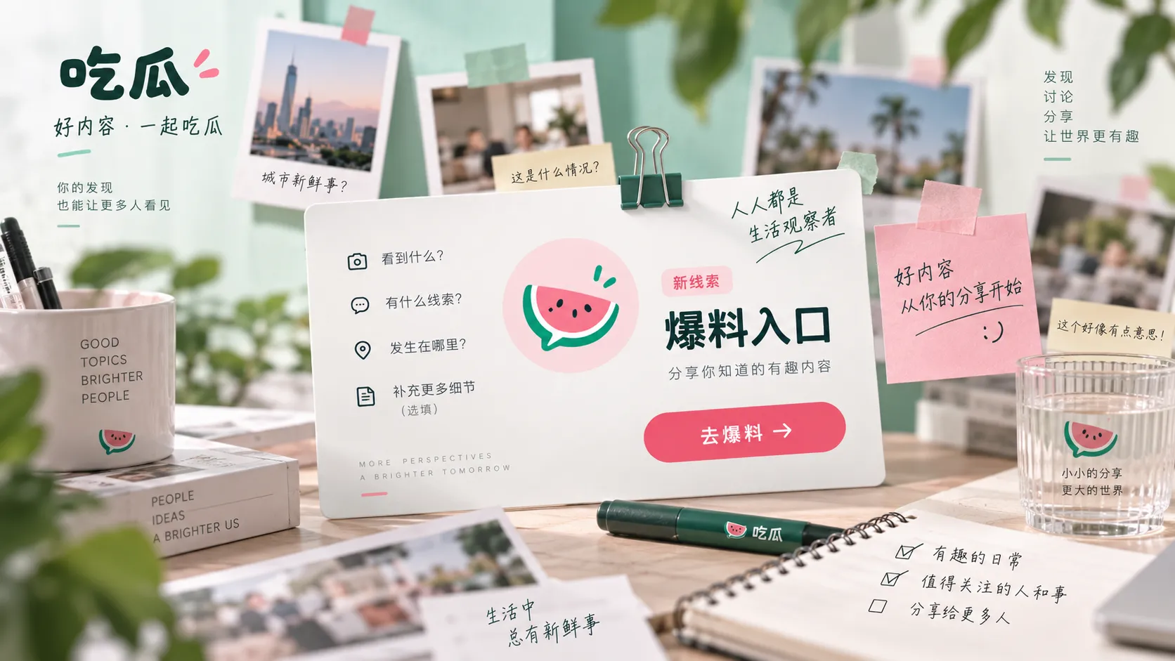 公开声明文字范围分析示意